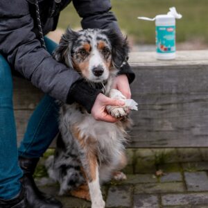 Display 42 x 15 stk. Universal vådservietter