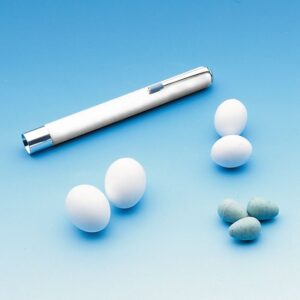 Lommelygte til at lyse æg