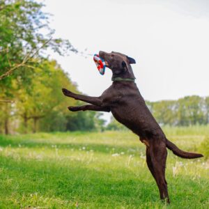 Redningskrans med reb, Floating