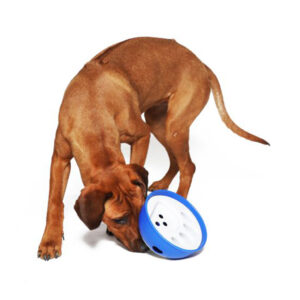 foder aktivitetsskål KICK´N FEED