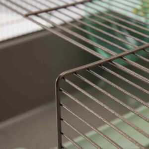 Bur for hamster - Duncan