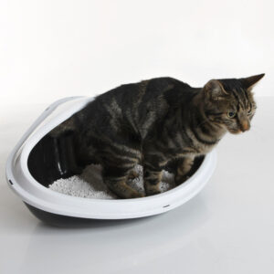 Hjørnebakke Concha 51x38x22,5 cm