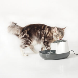 Drikke fontæne Cascade, 1,5 L