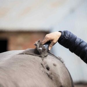 Wahl Eclipse Trimmer