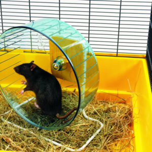 Hamsterhjul rolly giant ø27,5cm