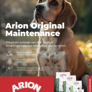 ARION Plakat 50x70 cm Maintenance