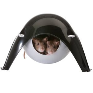 Sputnik til rotter & fritter