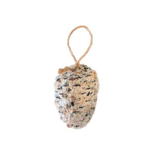 Hobby First Fedtkogle