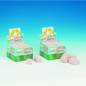 Engelske pigsten, 18 stk. L