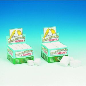 Engelske pigsten, 48 stk. S