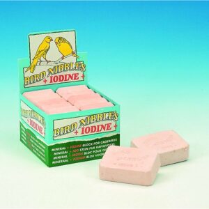 Engelske pigsten, 10 stk. XL