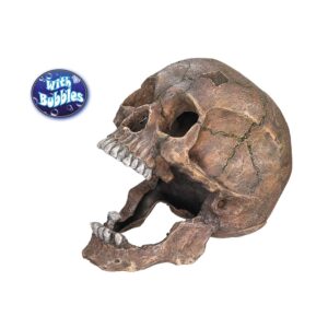 Akvariedekoration - Scull