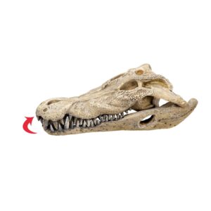 Akvariedekoration - Crocodile scull