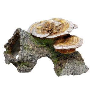 Akvariedekoration - Wood Cave med Mushrooms