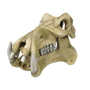 Akvariedekoration - Hippopotamus Skull