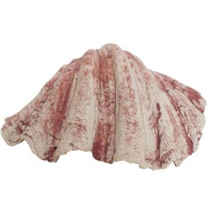 Akvariedekoration  SHELL