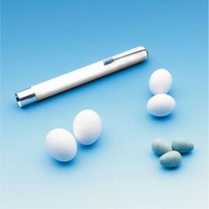 Redeæg for parakitter