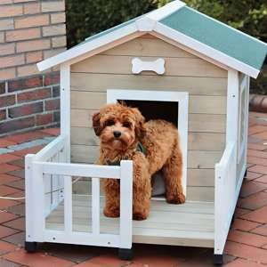 Hundehus - Talamone Java