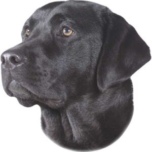 Sticker Labrador Sort