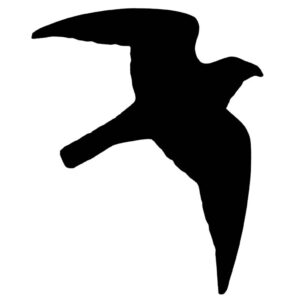 Sticker bird of prey