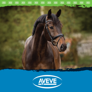 Aveve Foderbrochure SE
