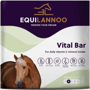EQL Vital Bar XXL 13 kg