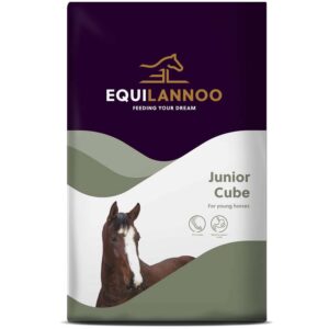 EQL Junior Cube 20 kg