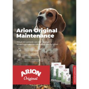 ARION Plakat 50x70 cm Maintenance