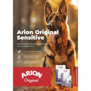 ARION Plakat 50x70 cm Sensitive