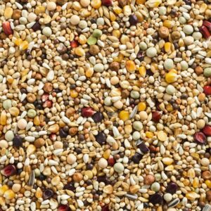 Natural Finesse Mutine, 20 kg