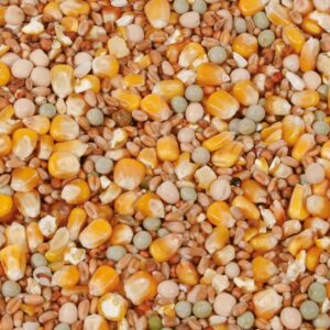 Natural Allround, 20 kg