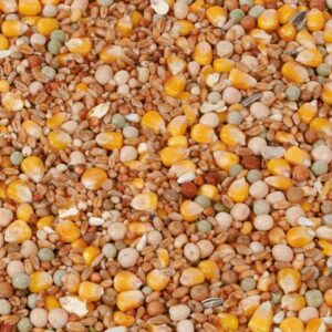Natural Sports / Avl NL, 20 kg