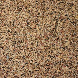 Natural Original Kanarie u/ryps 20 kg