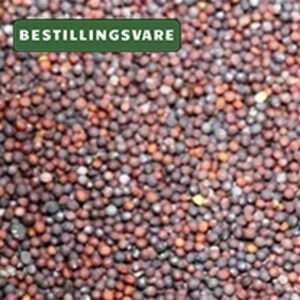 Ryps, 20 kg (B)