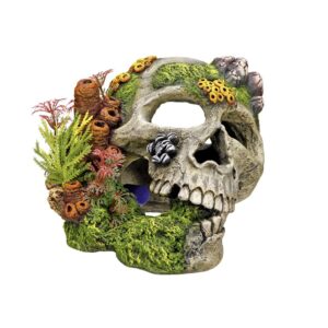 Akvariedekoration - Scull