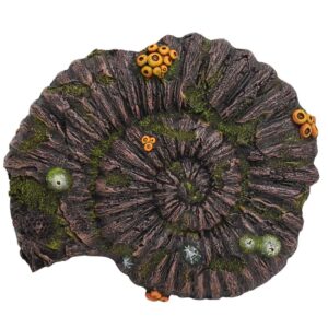Akvariedekoration  AMMONITE FOSSIL