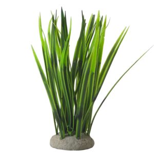 Akvariedekoration VALLISNERIA