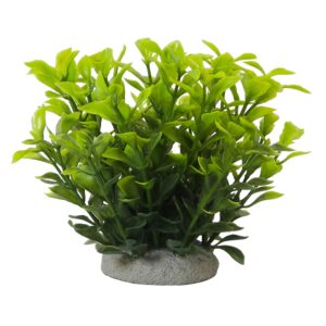 Akvariedekoration LUDWIGIA GREEN