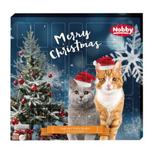 Starsnack Julekalender Kat