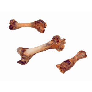 Lårbensknogle XL 32-40cm 800-1300g