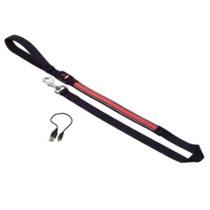 Leash FLASH MESH