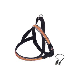 NORWEGIAN Sele FLASH MESH