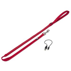 Leash FLASH MESH