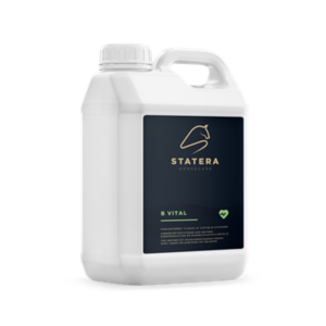 Statera Horsecare B Vital 3 L