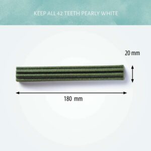 Antos Dental Tyggestang Mix