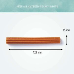Antos Dental Tyggestang Mix