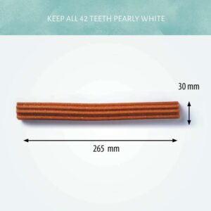 Antos Dental Tyggestang Mix