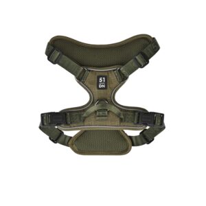 51 - Wanderful - H Harness - Trail