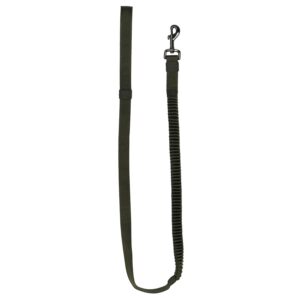 51 - Wanderful - Leash - Nylon - Bungee Flat