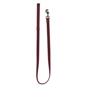 51 - Wanderful - Leash - Nylon - Flat